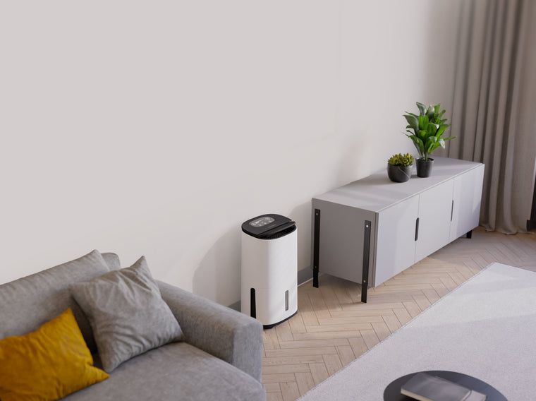 Five dehumidifier facts you must know