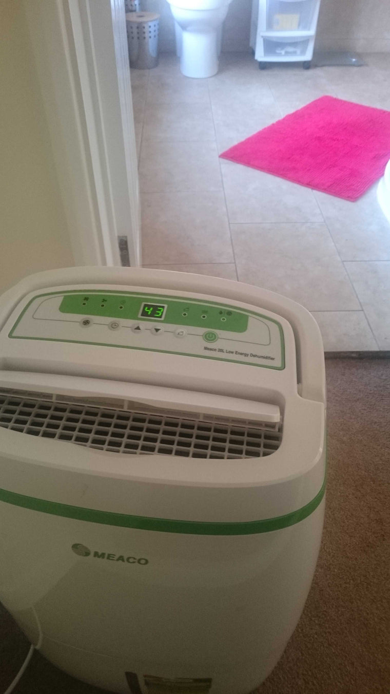 Dehumidifier by the bathroom door
