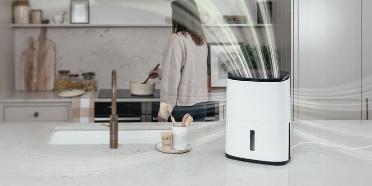 Meaco Arete® One 6L: The Quiet Revolution in Compact Dehumidifiers