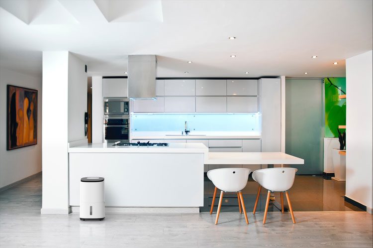 Arete One Dehumidifier in large Kitchen