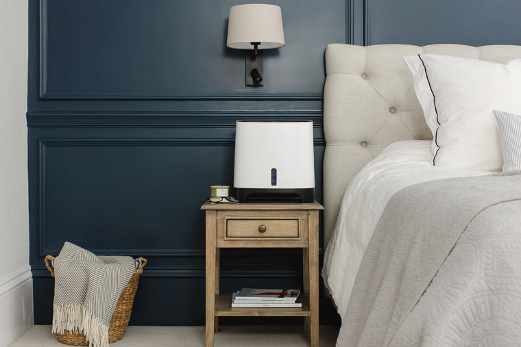 Breathe Better with Armin® – The Humidifier for Every Home