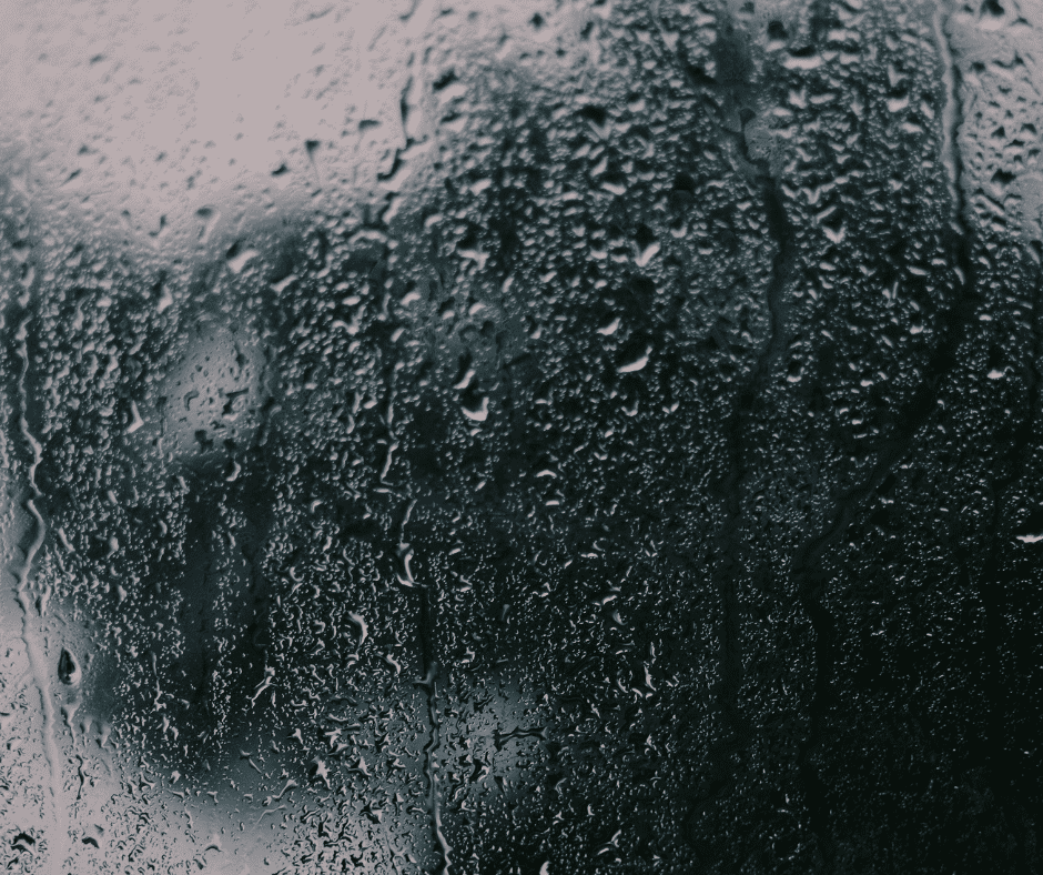 How to get rid of damp effectively, and prevent it from returning