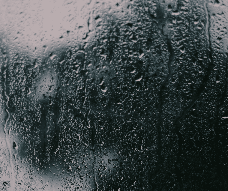 How to get rid of damp effectively, and prevent it from returning