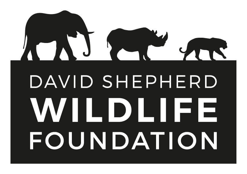 Our Partnership with The David Shepherd Wildlife Foundation