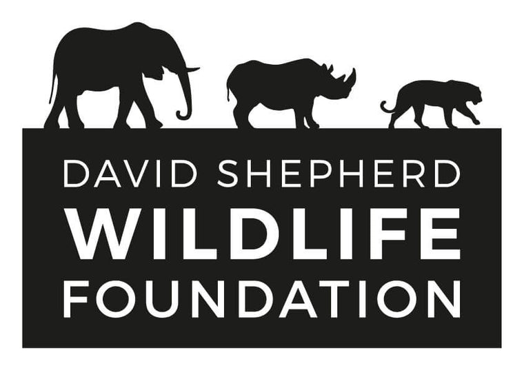 Our Partnership with The David Shepherd Wildlife Foundation
