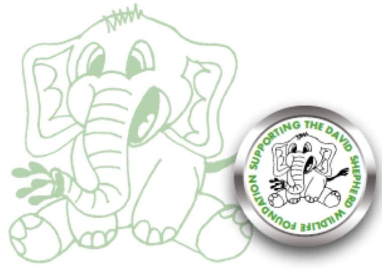Hayy Zambezi and DSWF