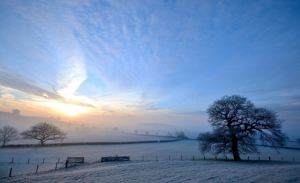 Do dehumidifiers work in cold weather?