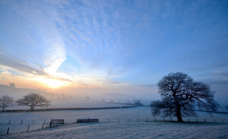 Do dehumidifiers work in cold weather?