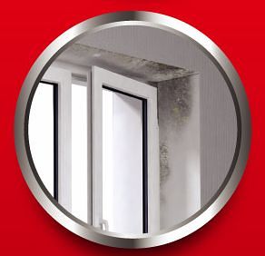 Excess moisture in the home can lead to damp forming around the windows