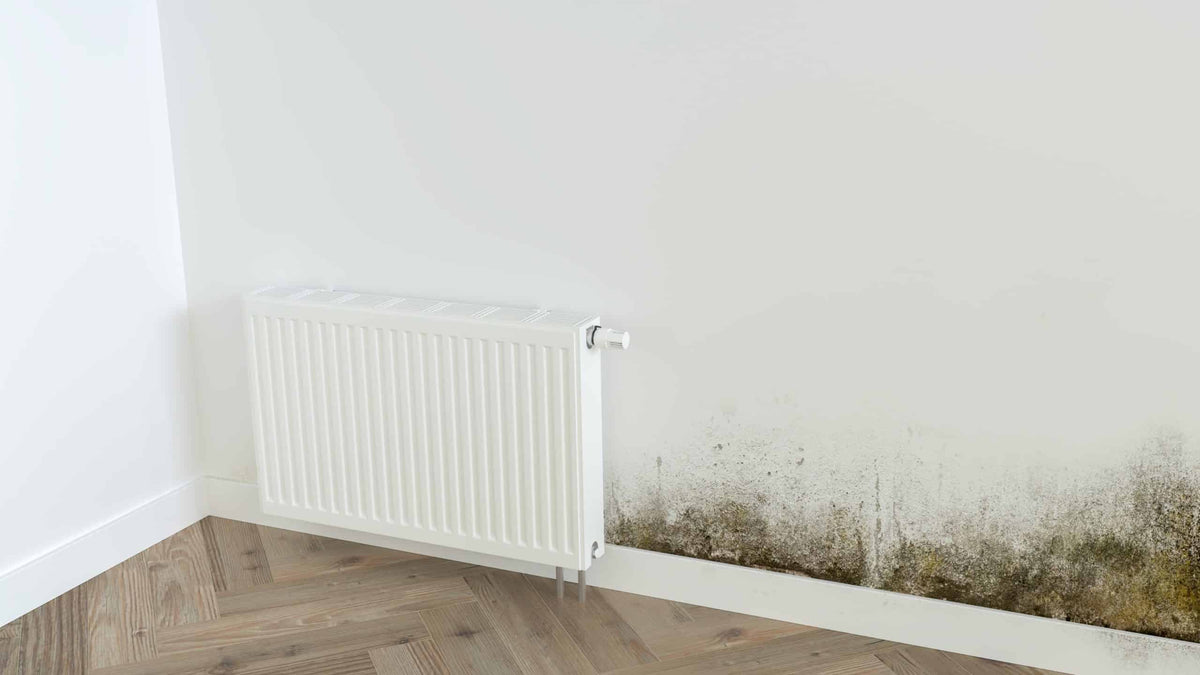 How to avoid damp and mould