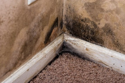 When to use a dehumidifier in spring and summer