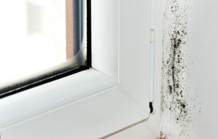 How to prevent damp when drying washing indoors during the cost of living crisis
