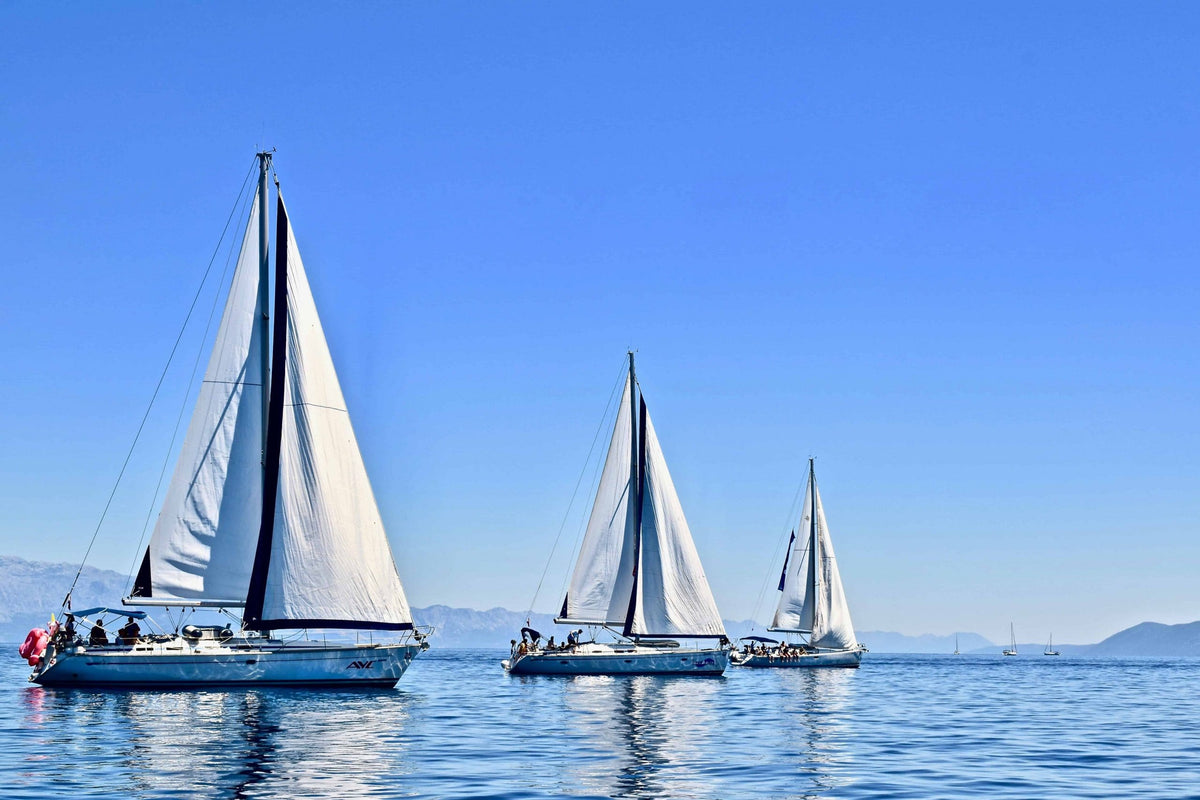 Yachting World selects DD8L Zambezi as a damp buster