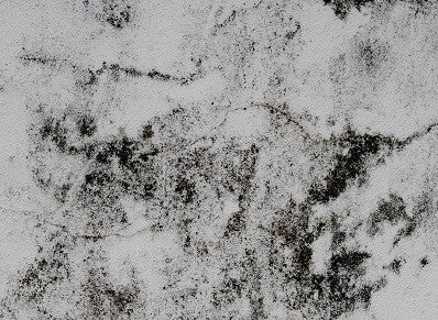 Landlords: you can now be sued for cold or damp homes under new laws