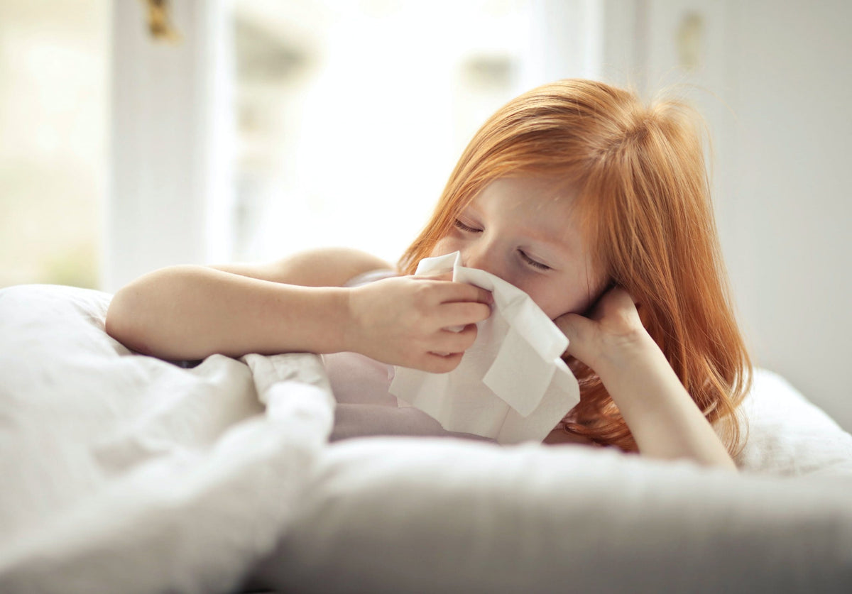 What does an air purifier do?