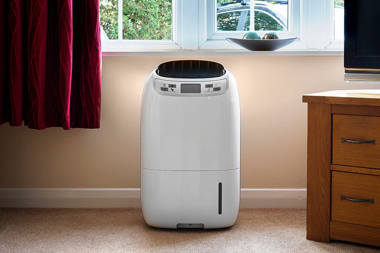 professional dehumidifier for the home