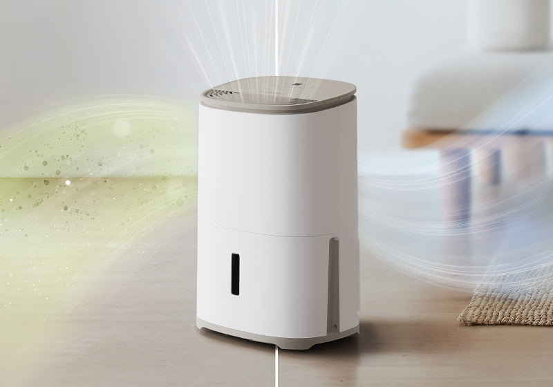 2-in-1 dehumidifier and air purifier