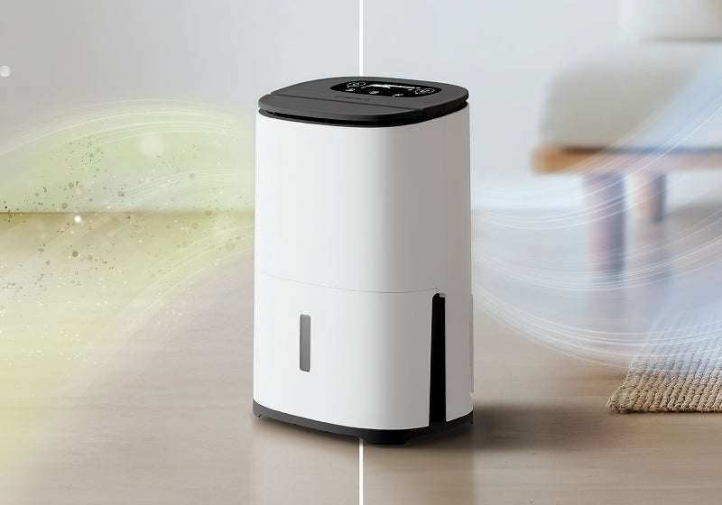 2-in-1 dehumidifier and air purifier