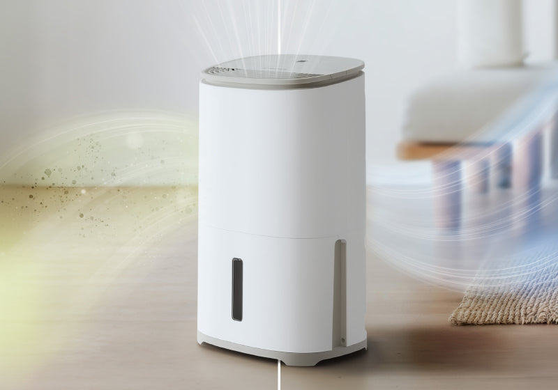 2-in-1 dehumidifier and air purifier