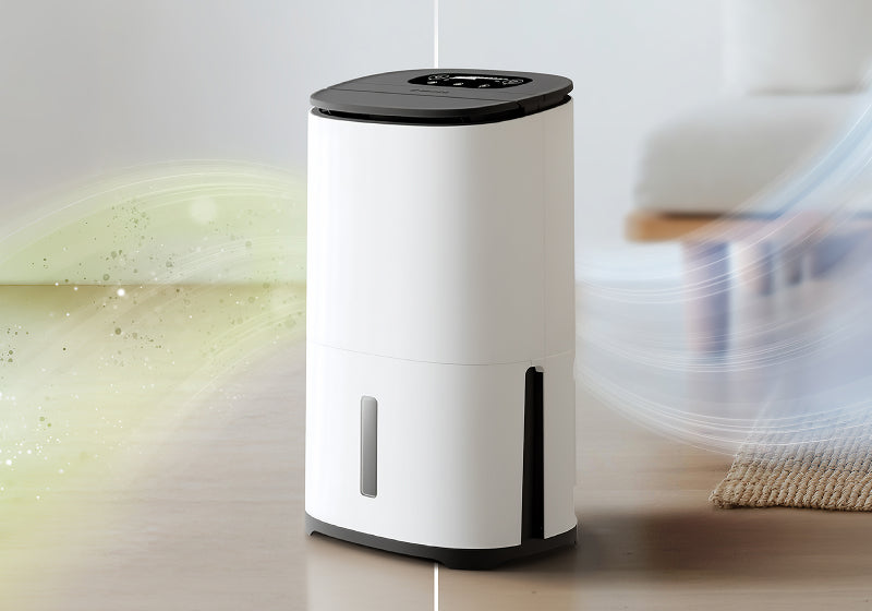 2-in-1 dehumidifier and air purifier