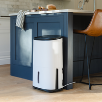 MeacoDry Arete® One 25L Dehumidifier / Air Purifier