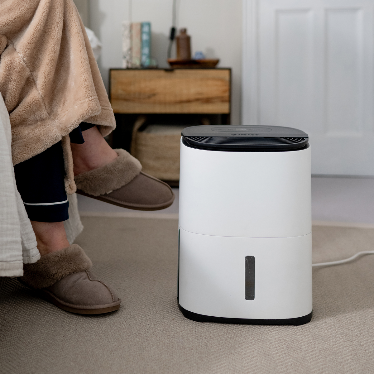 MeacoDry Arete® One 6L Compact Dehumidifier / Air Purifier