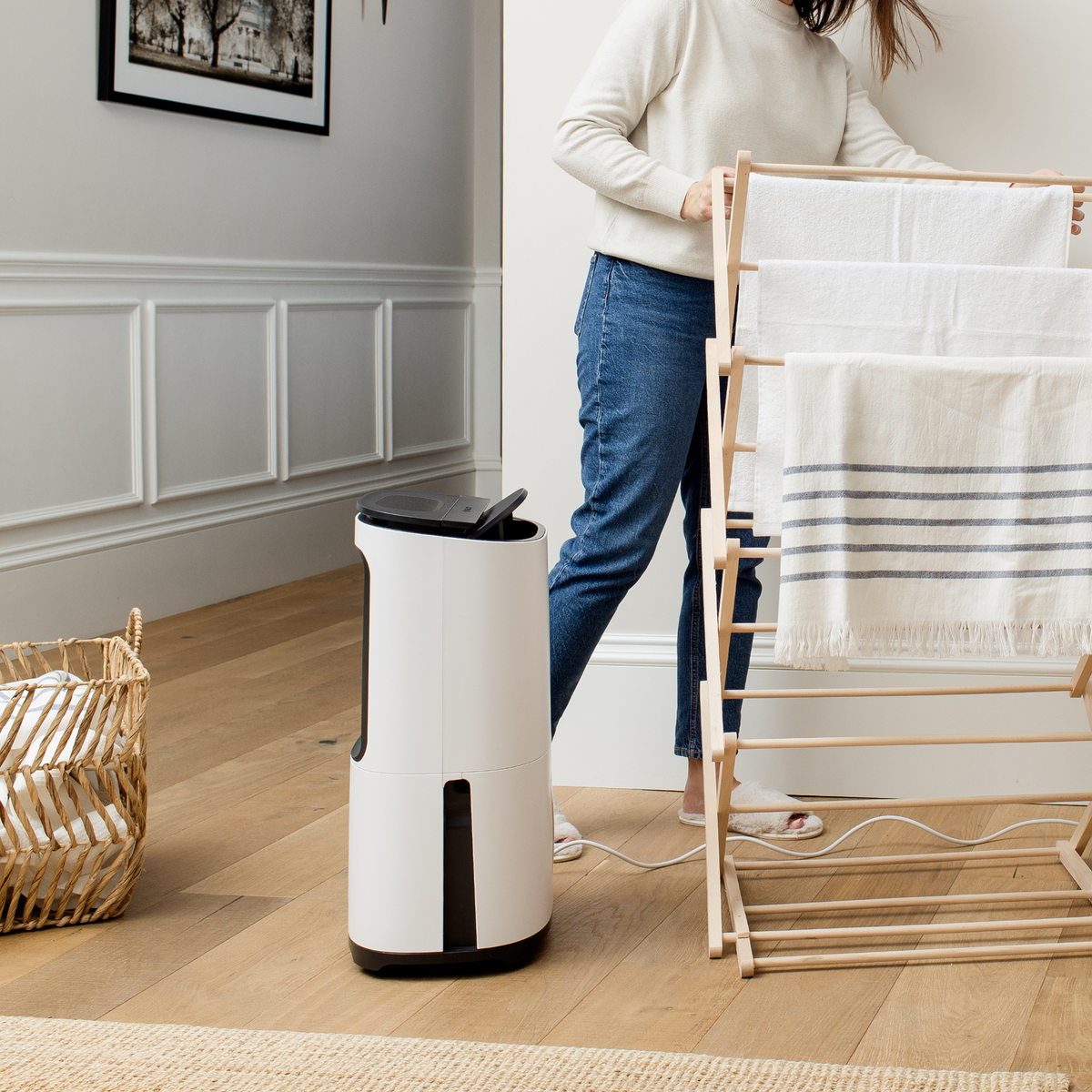 MeacoDry Arete® Two 25L Dehumidifier / Air Purifier
