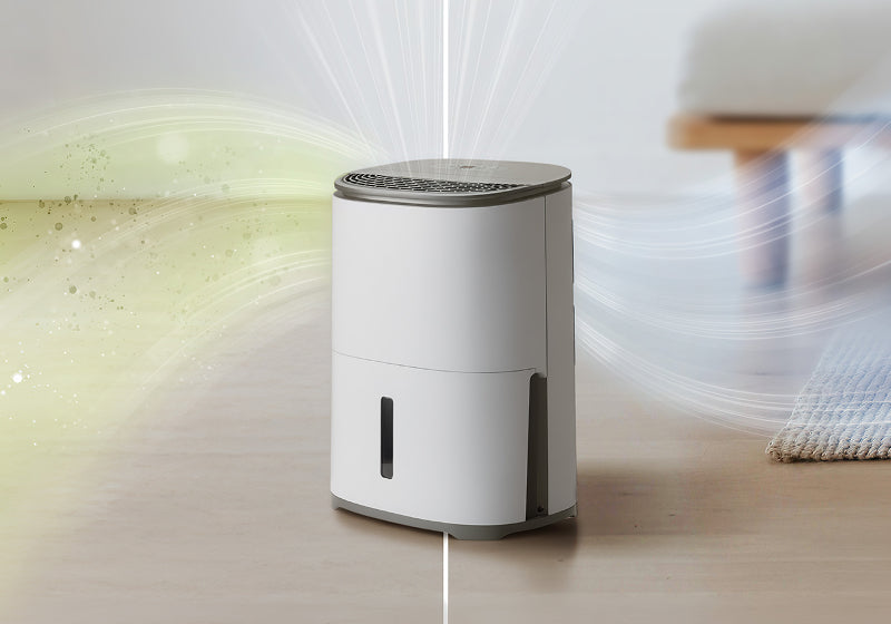 2-in-1 dehumidifier and air purifier
