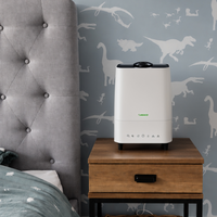 Deluxe 202 Humidifier and Air Purifier