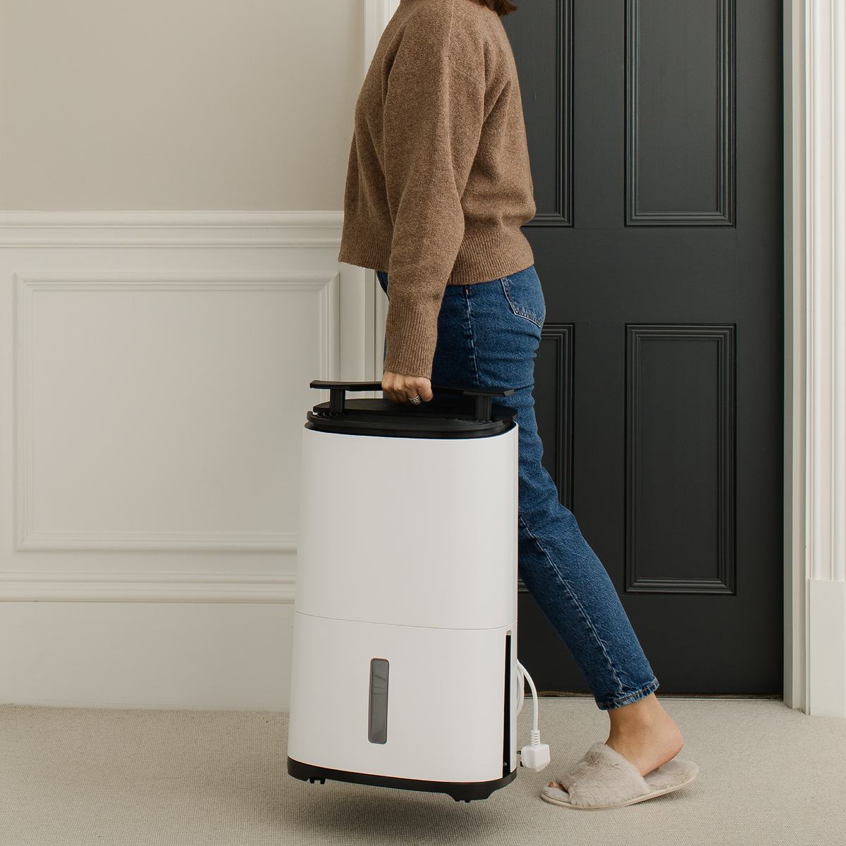 MeacoDry Arete® One 20L Dehumidifier / Air Purifier