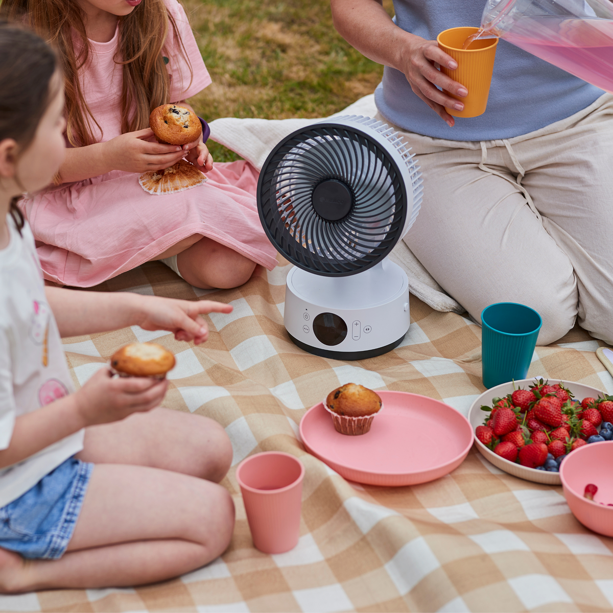 MeacoFan Sefte® 6" Portable Battery Air Circulator with Storage Bag