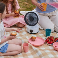 MeacoFan Sefte® 6" Portable Battery Air Circulator with Storage Bag