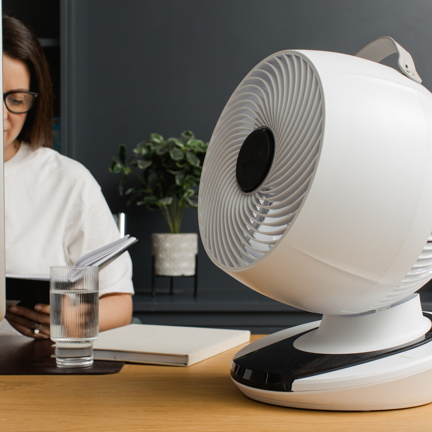 MeacoFan 1056 Air Circulator