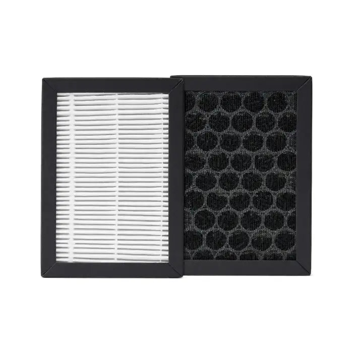 Deluxe 202 HEPA/Charcoal Filter
