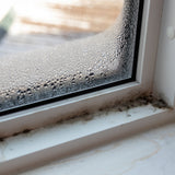 Tackle damp & mould