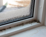 Tackle damp & mould