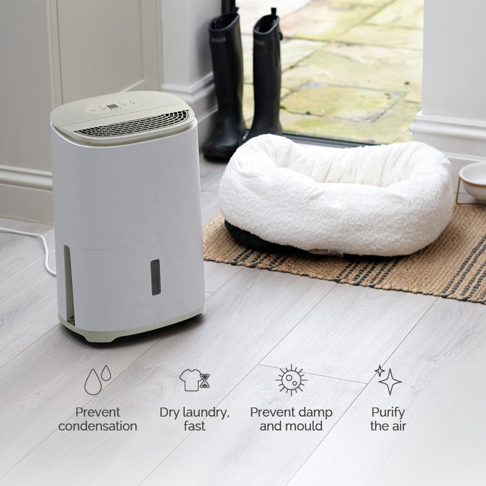 MeacoDry Arete® One 6L Compact Dehumidifier / Air Purifier