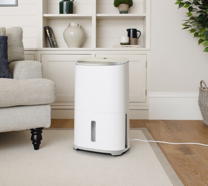 What's the right dehumidifier for me?